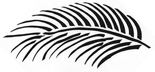 Palm-Frond002